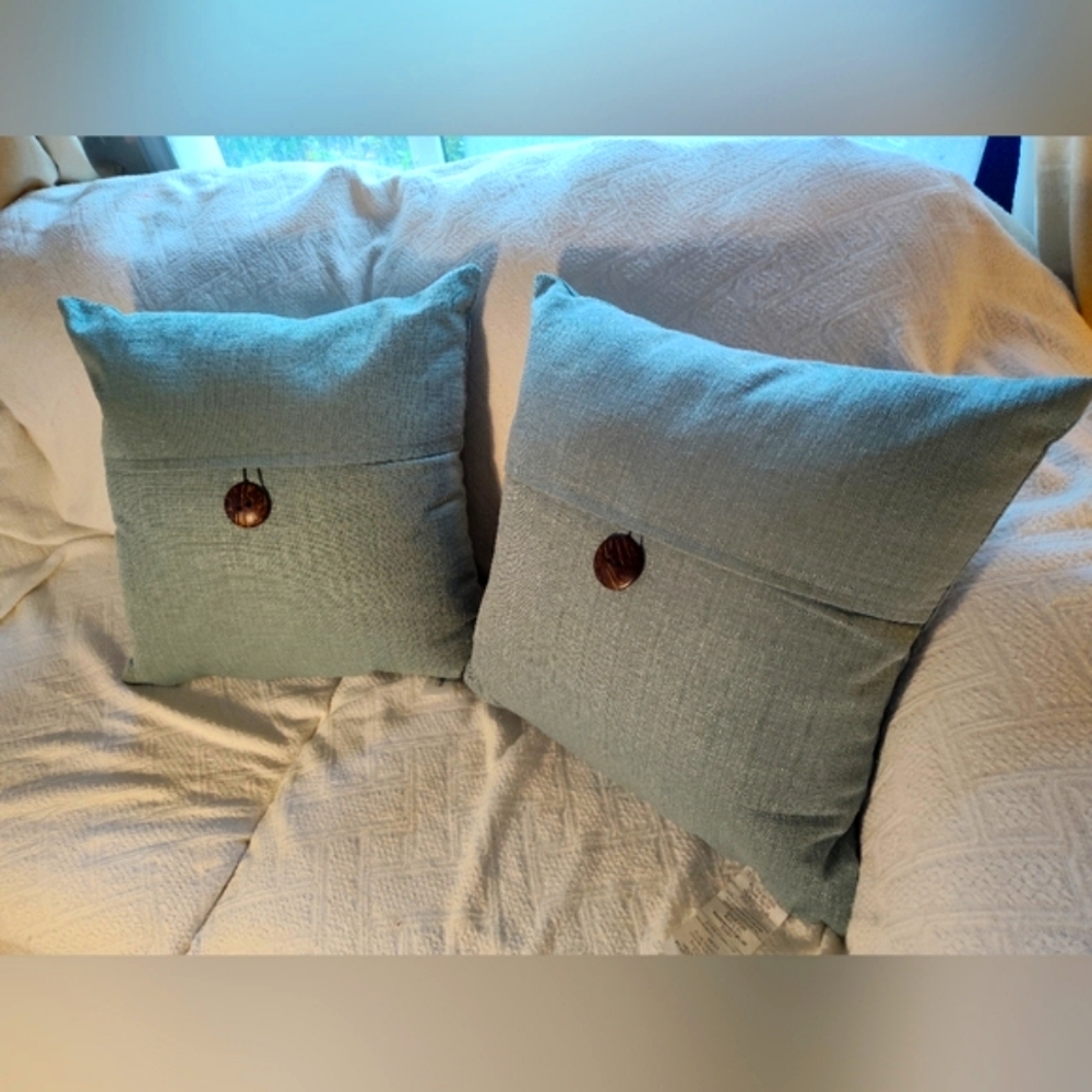 Sonoma Accent Pillows